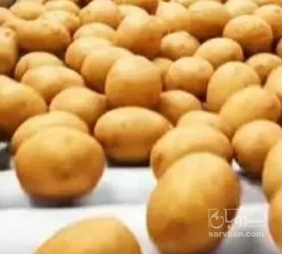 فروش سیب زمینی کلمبا