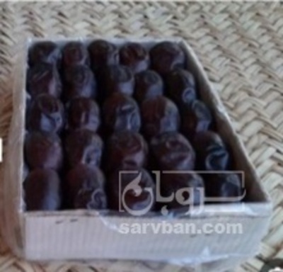 فروش خرما