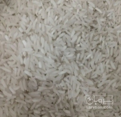 فروش برنج
