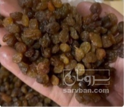 فروش کشمش
