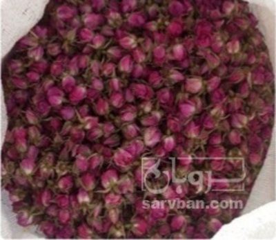 فروش غنچه گل محمدی (گیاه‌ دارویی)