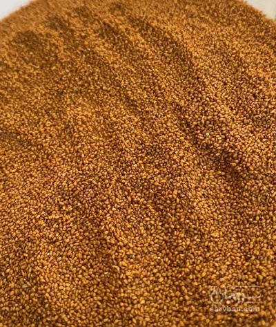 فروش خاکشیر (گیاه‌ دارویی)