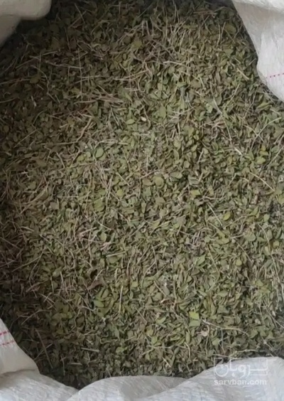 فروش آویشن خشک (گیاه‌ دارویی)