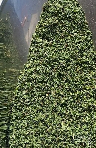 فروش شنبلیله (گیاه‌ دارویی)