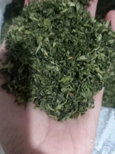 فروش نعناع خشک (گیاه‌ دارویی)