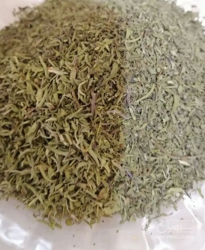 فروش ترخون (گیاه‌ دارویی)