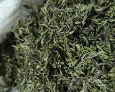 فروش مرزه (گیاه‌ دارویی)