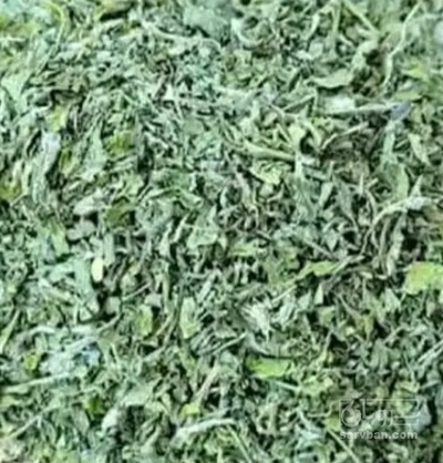 فروش تره خشک