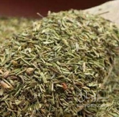 فروش آویشن خشک (گیاه‌ دارویی)