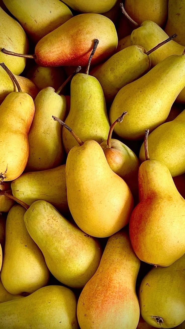 فروش گلابی گره گزی