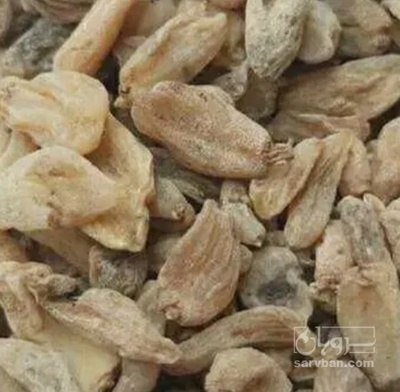 فروش ثعلب (گیاه‌ دارویی)