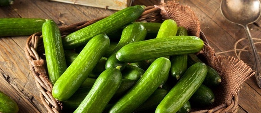 فروش خیار