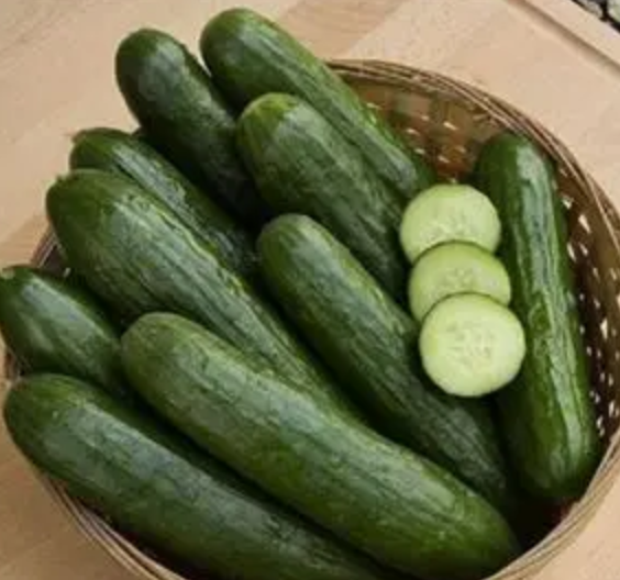 فروش خیار