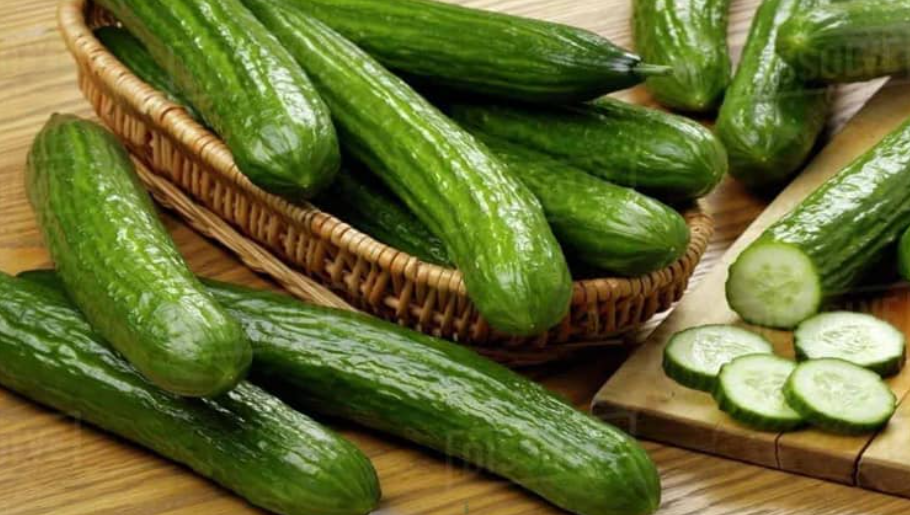 فروش خیار