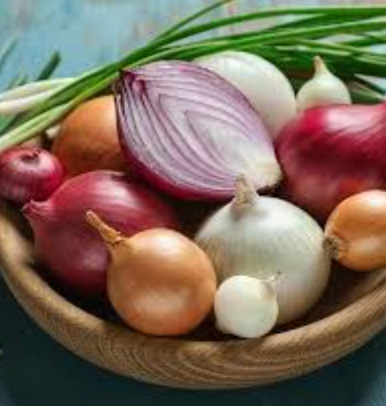 فروش پیاز