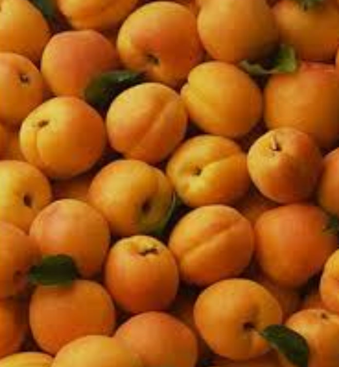 فروش زردآلو