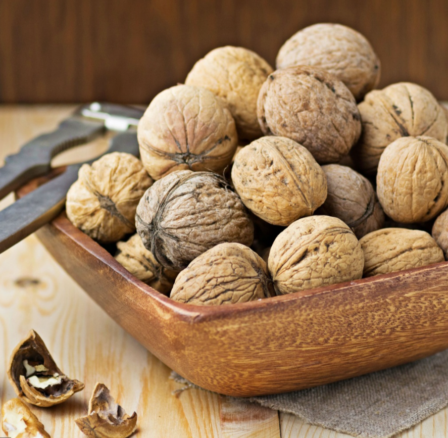 فروش گردو