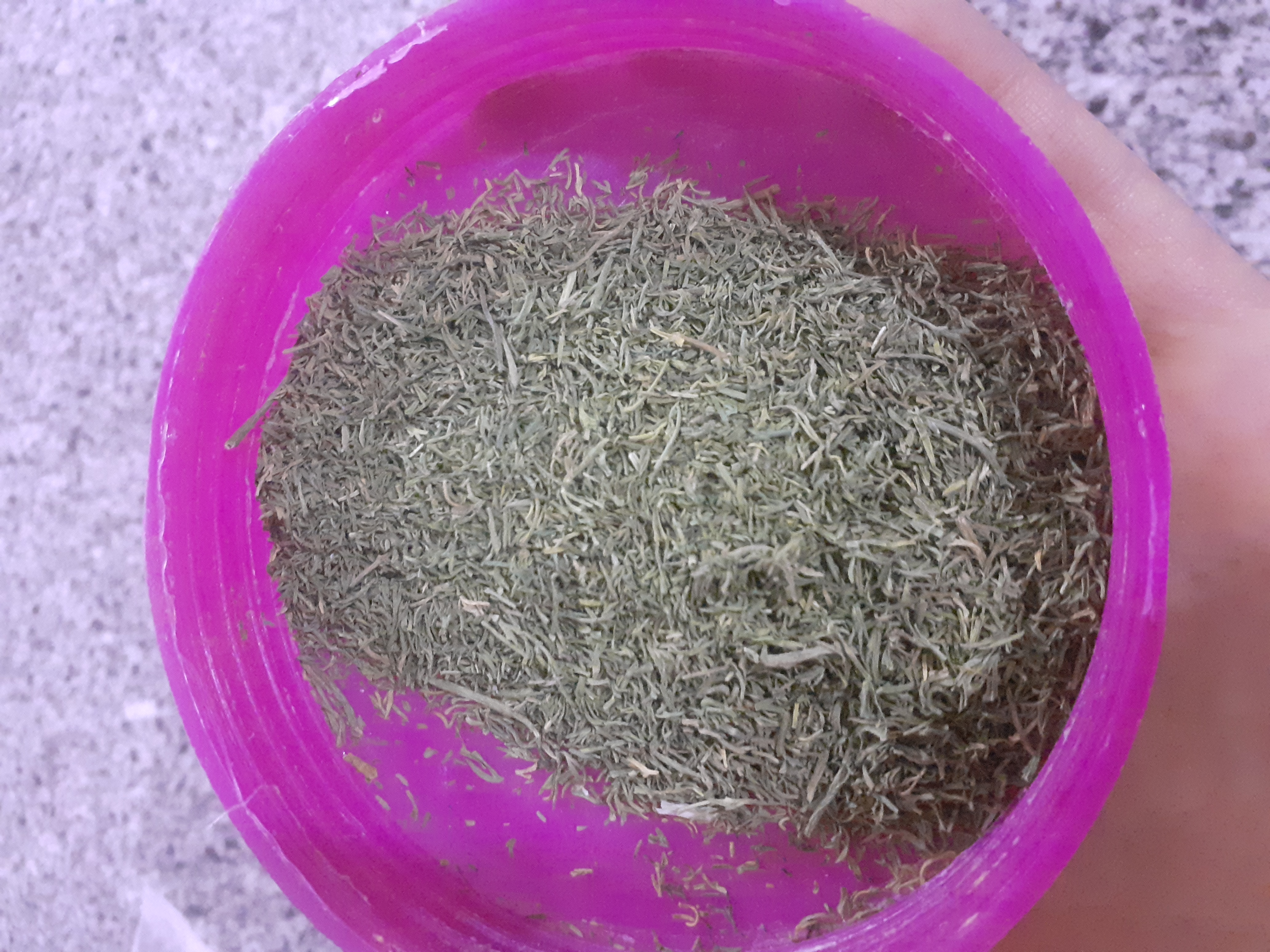 فروش شوید خشک (گیاه‌ دارویی)