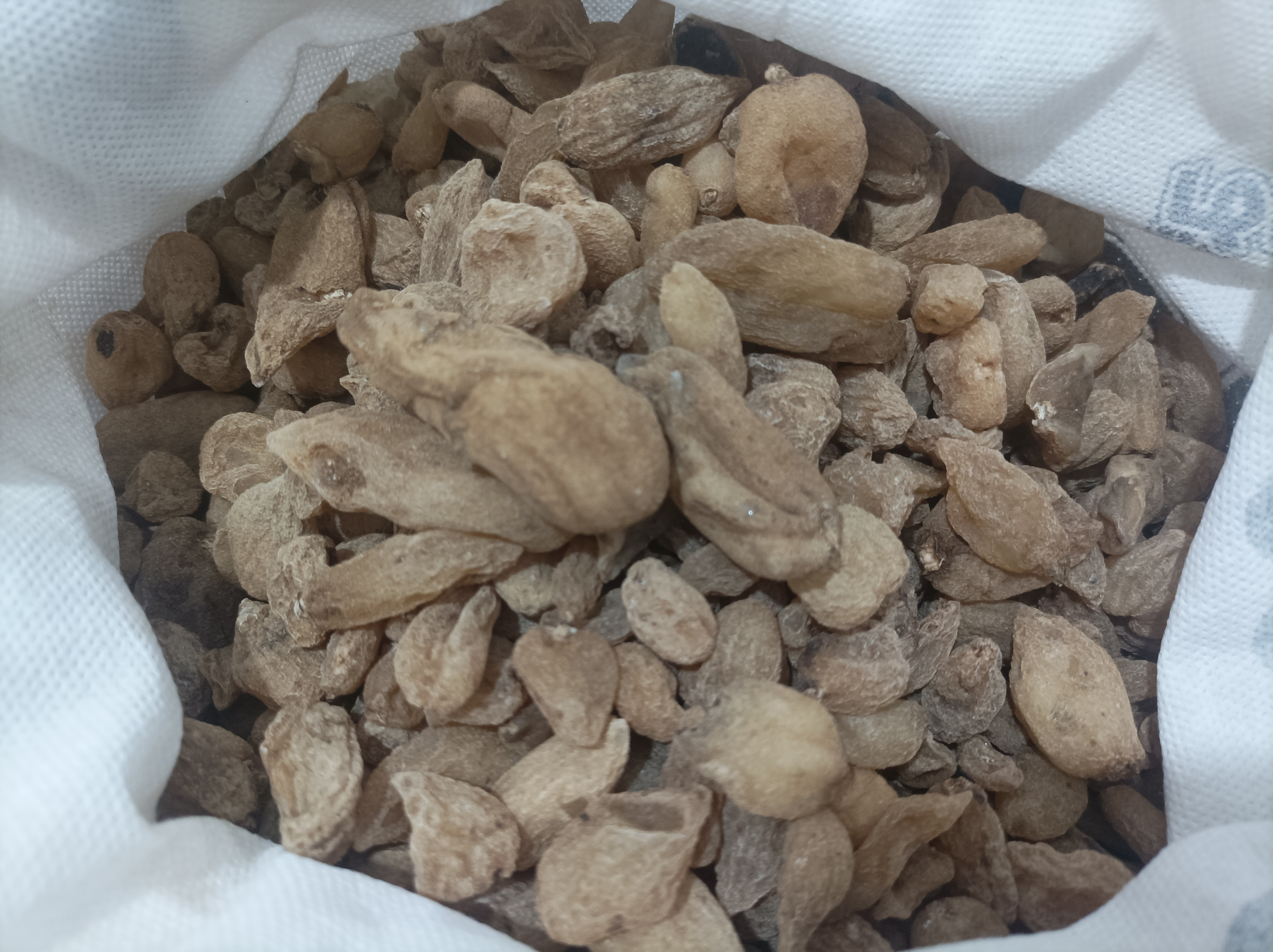 فروش ثعلب قلوه ای (گیاه‌ دارویی)