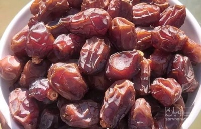 فروش خرما