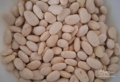 فروش لوبیا سفید