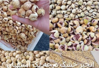 فروش انجیر