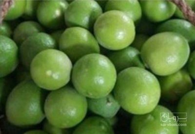 فروش لیمو ترش
