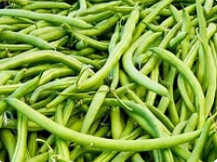 فروش لوبیا سبز