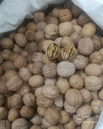 فروش گردو