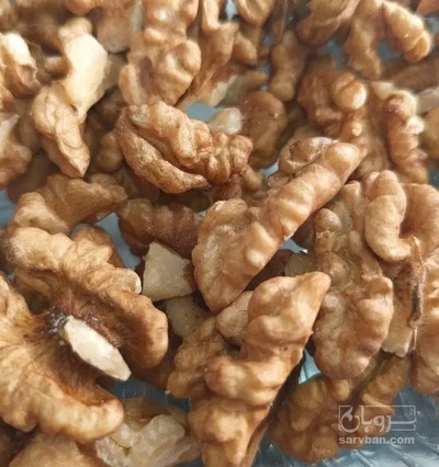 فروش مغز گردو