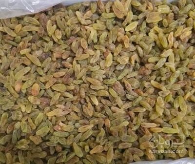 فروش کشمش سبز