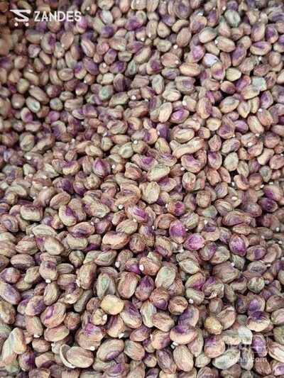 فروش مغز پسته سالم