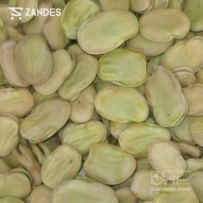 فروش پاچ باقلا - پاچه باقالی