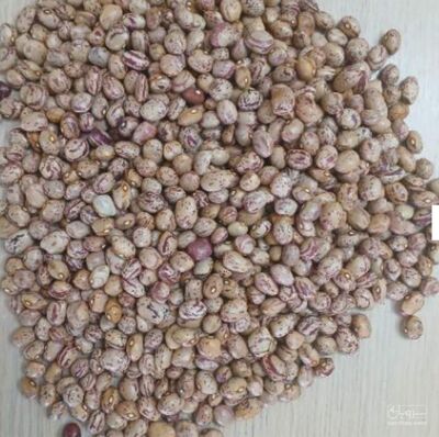 فروش لوبیا چیتی