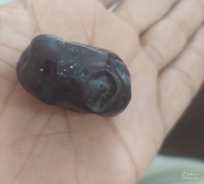 فروش خرما