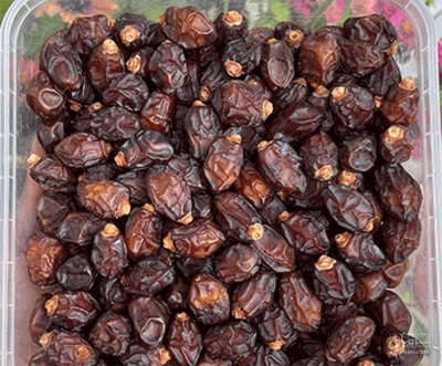 فروش خرما