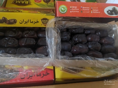 فروش خرما