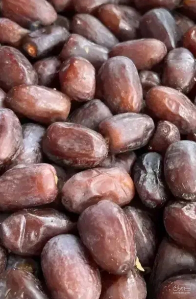 فروش خرما