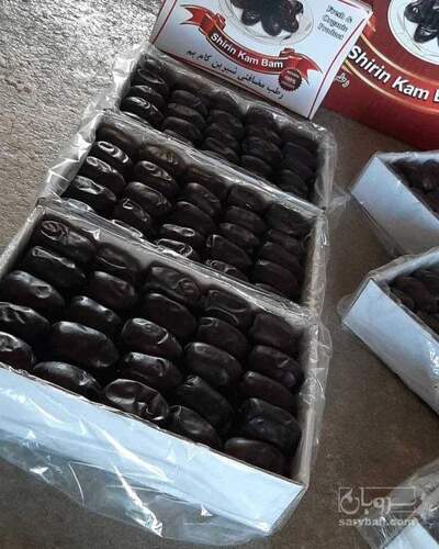 فروش خرما