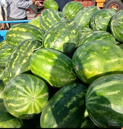 فروش هندوانه