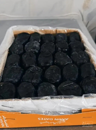 فروش خرما