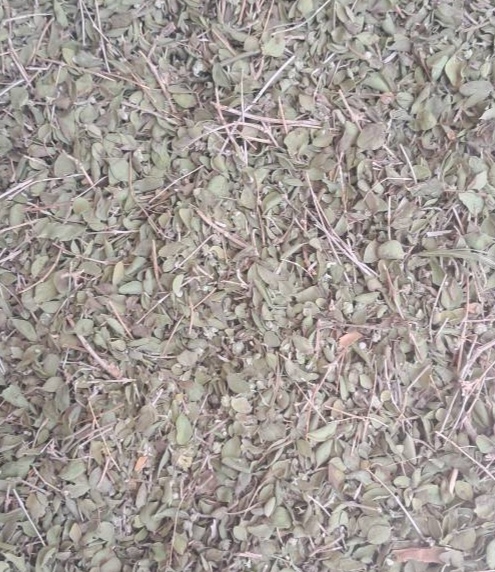 فروش آویشن خشک (گیاه‌ دارویی)