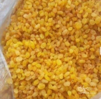 فروش کشمش