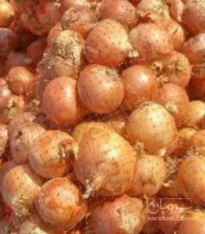 فروش پیاز زرد