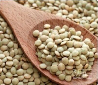 فروش عدس