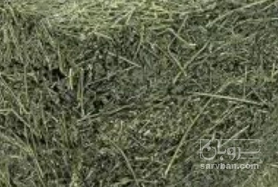 فروش یونجه