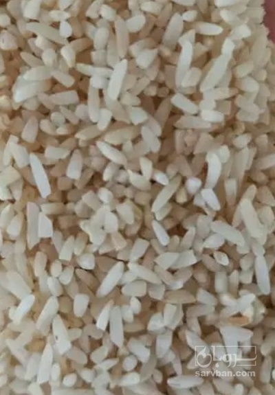 فروش برنج سر لاشه