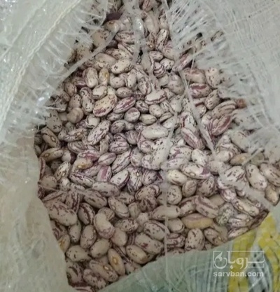 فروش لوبیا چیتی