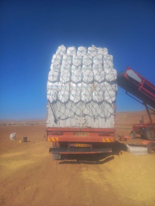 فروش کاه و کلش گندم