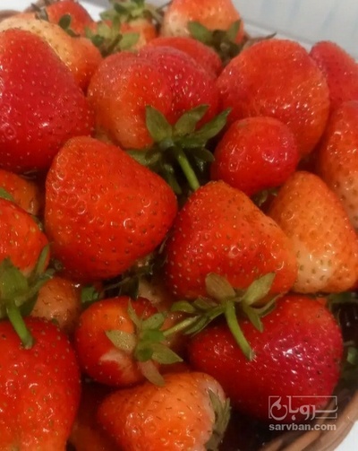 فروش توت فرنگی ویژه